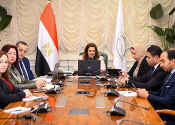 Egyptian expats one of pillars of Egyptian national security – min.