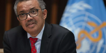 WHO director urges protecting Gaza hospitals 1 - Egyptian Gazette WHO director urges protecting Gaza hospitals