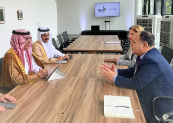 ‘Egypt looks forward to increasing Saudi investments’