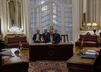 Egypt, France, Jordan urge immediate, permanent ceasefire in Gaza