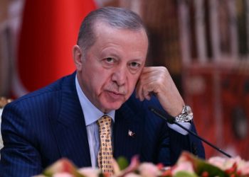 Erdogan says Turkey firmly backs Hamas leaders