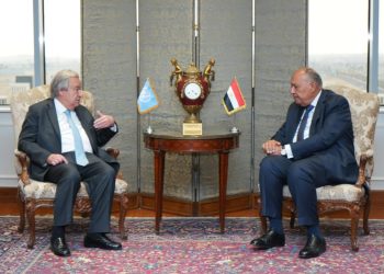 Shoukry holds talks with UN chief