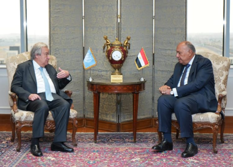 Shoukry holds talks with UN chief 1 - Egyptian Gazette