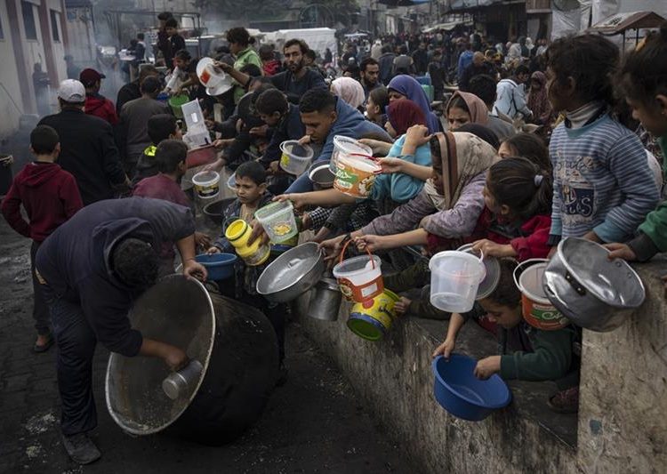 WHO warns of famine outbreak in Gaza Strip 1 - Egyptian Gazette