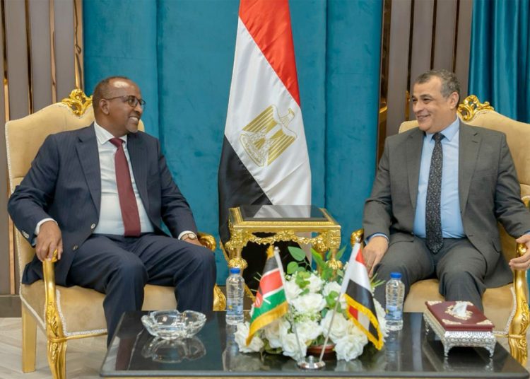 State min. for Military Production, Kenyan defense min. discuss enhancing bilateral co-operation 1 - Egyptian Gazette