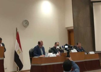 Egypt’s primary budget surplus records EGP 193 bn: Finance min.