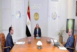 Sisi directs to continue implementing plan to improve performance of companies, factories