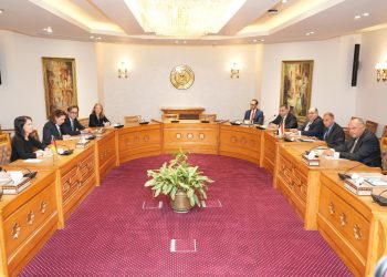 Shoukry, German counterpart discuss int’l efforts to stop Gaza war