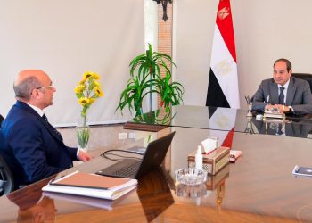 Sisi orders improving litigation system to secure swift justice