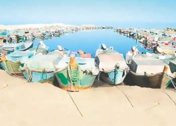 Decade of comprehensive development in Sinai