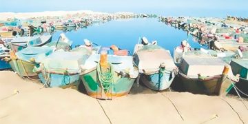Decade of comprehensive development in Sinai