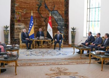 Chairman of Presidency of Bosnia and Herzegovina: Egypt is leader of Arab, African world