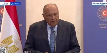 Shoukry: Egypt working with Turkey to achieve regional security, stability