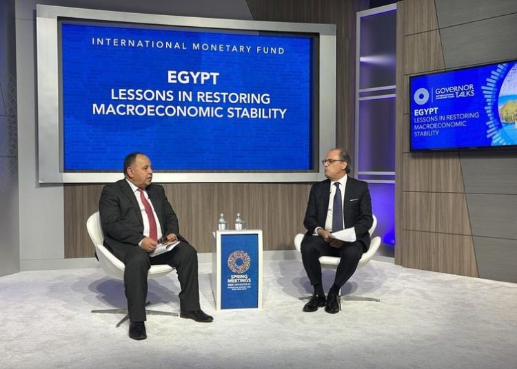 Finance Minister says govt acting for private sector to lead economy 1 - Egyptian Gazette