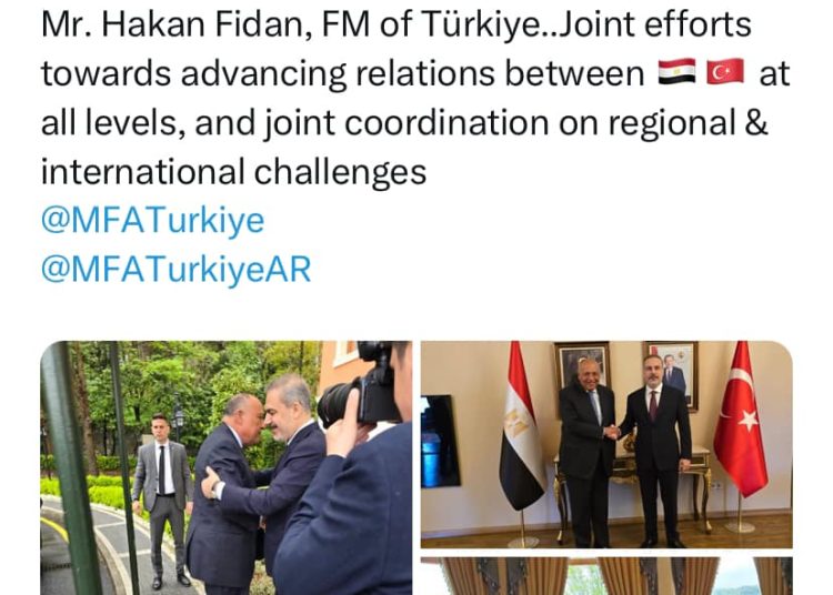 FM holds talks with his Turkish counterpart 2 - Egyptian Gazette FM holds talks with his Turkish counterpart 1 - Egyptian Gazette