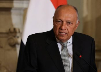 FM: Egypt, its partners exert their utmost to reach ceasefire in Gaza