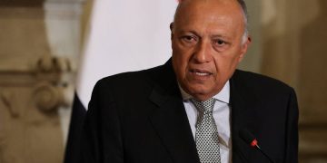 FM: Egypt, its partners exert their utmost to reach ceasefire in Gaza