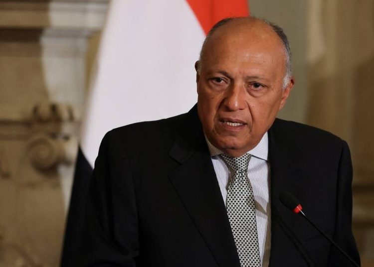 FM: Egypt, its partners exert their utmost to reach ceasefire in Gaza 1 - Egyptian Gazette