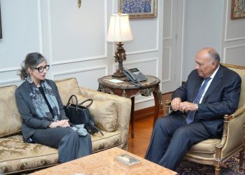 Cairo calls for end to Palestinians’ sufferings, guaranteeing full entry of humanitarian aid