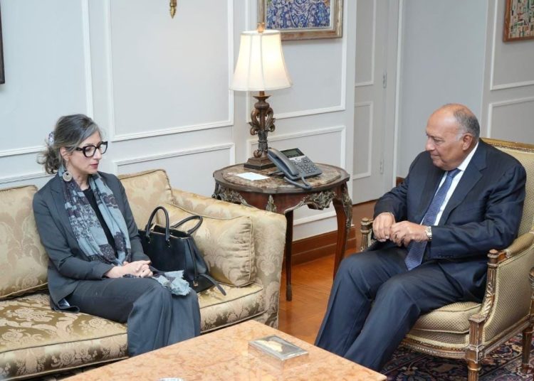 Cairo calls for end to Palestinians’ sufferings, guaranteeing full entry of humanitarian aid 2 - Egyptian Gazette Cairo calls for end to Palestinians’ sufferings, guaranteeing full entry of humanitarian aid 1 - Egyptian Gazette