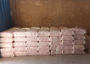 Ongoing efforts to ensure food safety