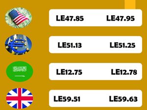 Robo-advisers to revolutionise investment management in Egypt 9 - Egyptian Gazette