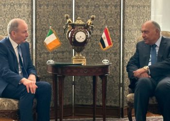 FMs of Egypt, Ireland confer on bilateral ties, war in Gaza