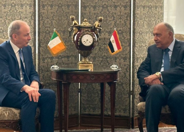 FMs of Egypt, Ireland confer on bilateral ties, war in Gaza 1 - Egyptian Gazette