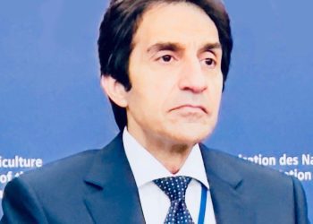 Italian min. in Cairo to boost digitalisation, IT ties