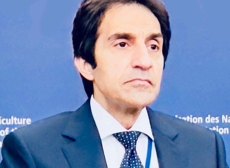 Italian min. in Cairo to boost digitalisation, IT ties 1 - Egyptian Gazette