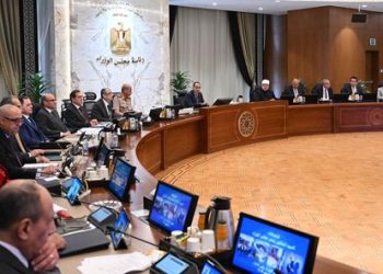 Gov’t okays draft decision to establish private free zone under name “Suez Canal Company for Modern Boats”