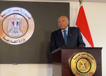 Shoukry calls for reaching immediate ceasefire in Gaza