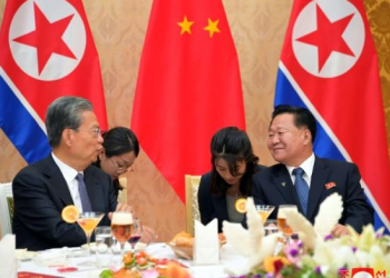 China’s top legislator meets senior N. Korea official