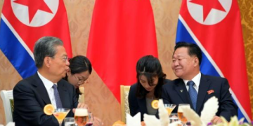 China’s top legislator meets senior N. Korea official