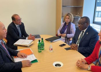 Financing gap in Africa leads to declines of developmental investment rates: Finance min.