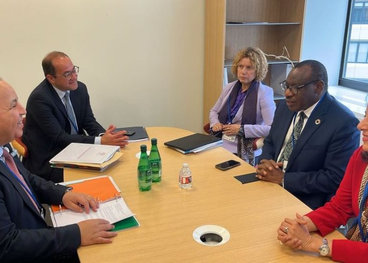 Financing gap in Africa leads to declines of developmental investment rates: Finance min. 1 - Egyptian Gazette