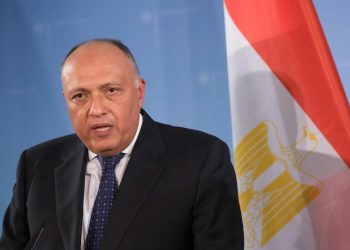 Egypt regrets UNSC’s failure to issue resolution to enable Palestine to obtain full membership at UN
