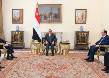 Sisi reviews Egypt’s efforts to defuse regional tensions