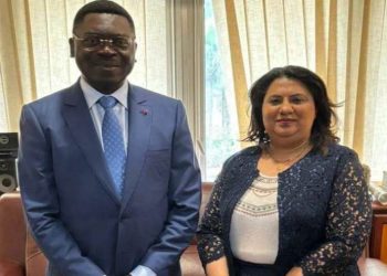 Egypt, Cameroon discuss preparations for 7th session of Joint Committee