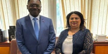 Egypt, Cameroon discuss preparations for 7th session of Joint Committee 1 - Egyptian Gazette Egypt, Cameroon discuss preparations for 7th session of Joint Committee