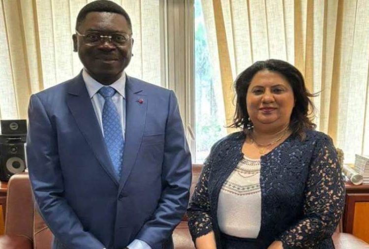 Egypt, Cameroon discuss preparations for 7th session of Joint Committee 1 - Egyptian Gazette