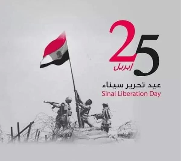 Sinai chieftains voice support for political leadership to maintain Egypt’s security, stability 1 - Egyptian Gazette