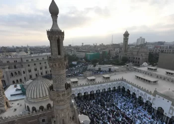 Al Azhar welcomes Egypt intention to support S. Africa case against Israel