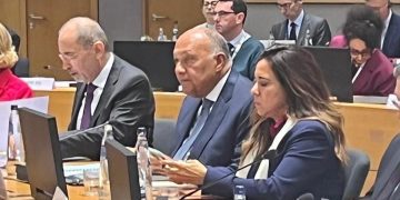 FM asserts necessity of coordinating Arab, European moves to immediately stop Israeli war on Gaza