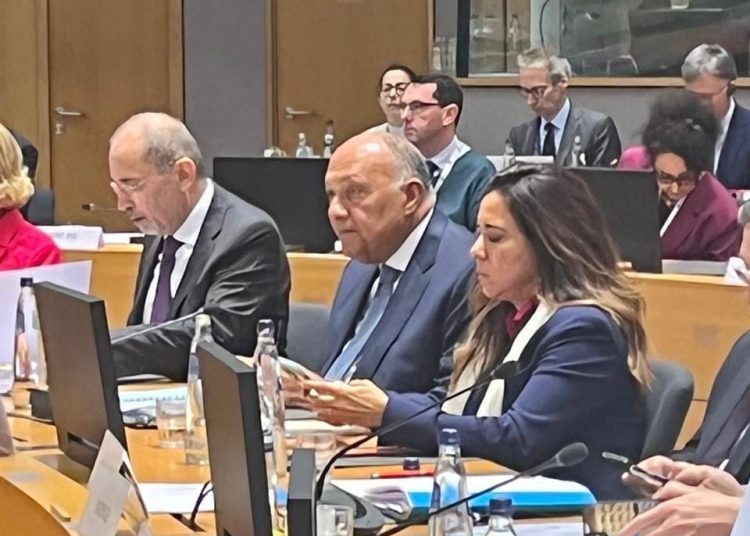 FM asserts necessity of coordinating Arab, European moves to immediately stop Israeli war on Gaza 1 - Egyptian Gazette