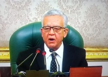 House of Representatives: We support Sisi’s efforts to cease fire in Palestinian territories