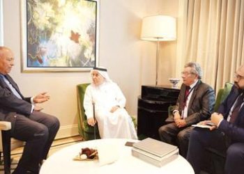 FM Shoukry: Humanitarian needs of Palestinians in Gaza are on top of Egypt’s priorities