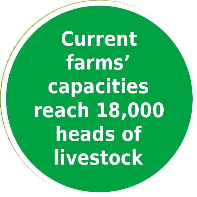 Up to 4.5m feddannes targeted for reclamation by 2027 11 - Egyptian Gazette