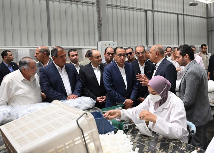 PM inspects industrial, housing projects in 10th of Ramadan 1 - Egyptian Gazette