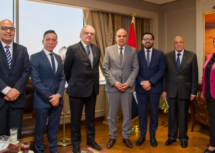 Irrigation minister stresses Egypt's keenness on boosting cooperation with world countries in water management 1 - Egyptian Gazette